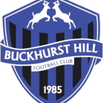 巴克赫斯特山队标